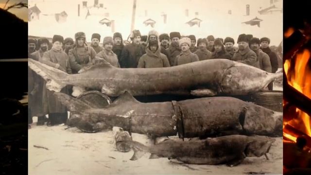 Журналы СССР про форму земли Нудистский пляж в Москве 1929 год Удивительные фотографии прошлого.mp4