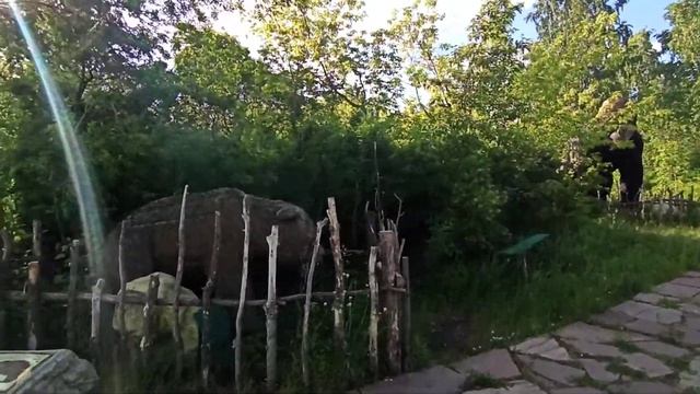 Дино парк Магнитогорск смотреть онлайн