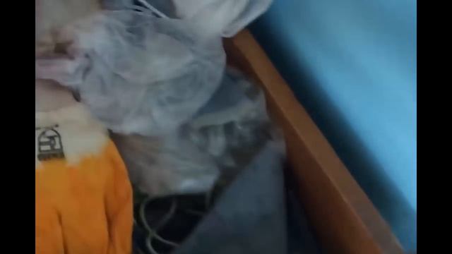 корма для раков (экспериментальные) смотри до конца смотреть онлайн