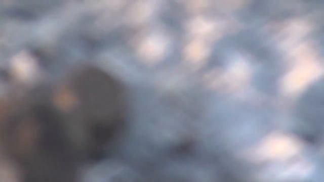 Коп в степи. Весна 2014 г. смотреть онлайн