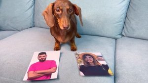 ЧАПИ ВЫБИРАЕТ ЛЮБИМЫХ БЛОГЕРОВ