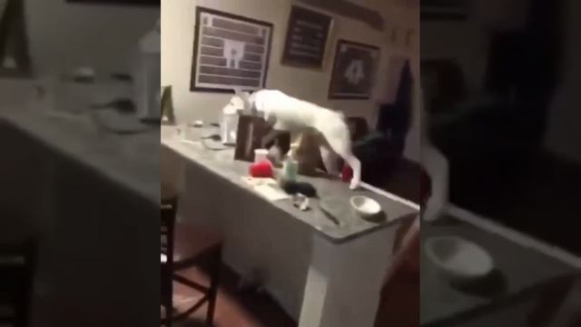 пойман с поличным