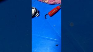 провал при нажатии на педаль газа Тойота Альфард Камри. датчик акселератора