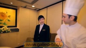 Галилео. Найди себе работу в Гонконге. Кунг-фу повар (часть 2)