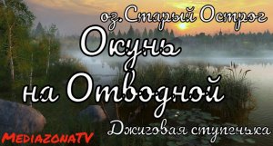 #рр4 оз.Старый острог  Окунь на Отводной поводок  26.05