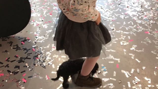 ВЛОГ: ПОДАРИЛИ СОБАЧКУ!!! смотреть онлайн