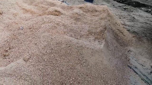 Купили опилки. смотреть онлайн