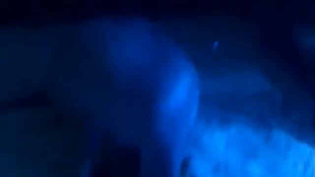 Сиднейский океанариум. Дюгонь ест салат смотреть онлайн