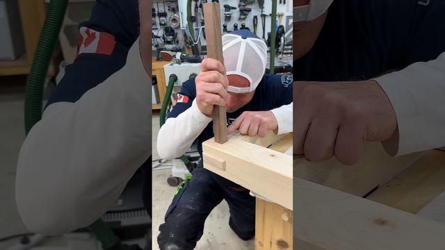 Квадратный колышек, пропущенный через соединение уздечки смотреть онлайн