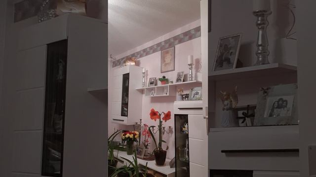 ПРИТЧА О РАБОТНИКАХ В ВИНОГРАДНИКЕ И ИХ ПЛАТА! ПРЕДСКАЗАНИЕ ИИСУСА О ЕГО СМЕРТИ! 20 ГЛ.ОТ МАТФЕЯ! смотреть онлайн