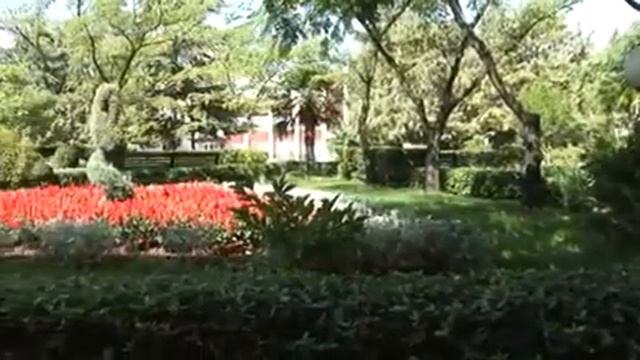 ТОК "Восход" территория смотреть онлайн