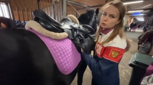 Как седлать лошадь?
