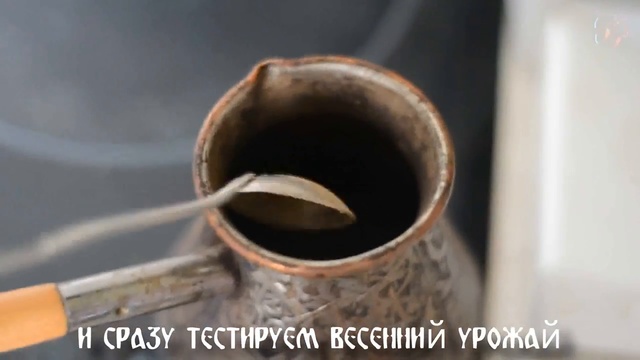 Кофейный напиток из корней ОДУВАНЧИКА смотреть онлайн