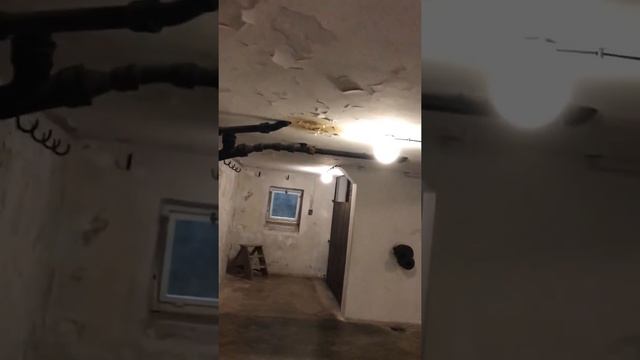 2018.07 Веймар, пытки в KZ Buchenwald, мемориальный комплекс Бухенвальд, Тюрингия смотреть онлайн