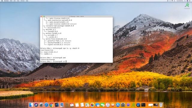 How to See What NPM Packages are Installed смотреть онлайн
