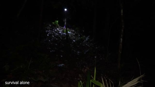 Picking grilled forest berries to eat, looking at forest snails in the night, survival alone смотреть онлайн