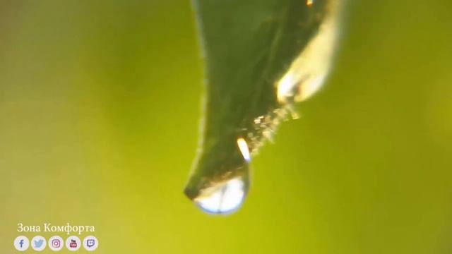 Эту музыку можно слушать вечно! Музыка расслабляет нервную систему, улучшает память! Музыка для душ смотреть онлайн