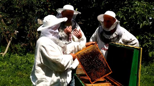 Пасечник №10 - Продукты пчеловодства