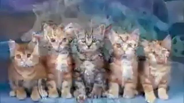 Ребят видео не будут выходить пока я не востоновлу ос(( смотреть онлайн