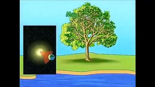 Spotlight 4 p.62 ex.1 DVD