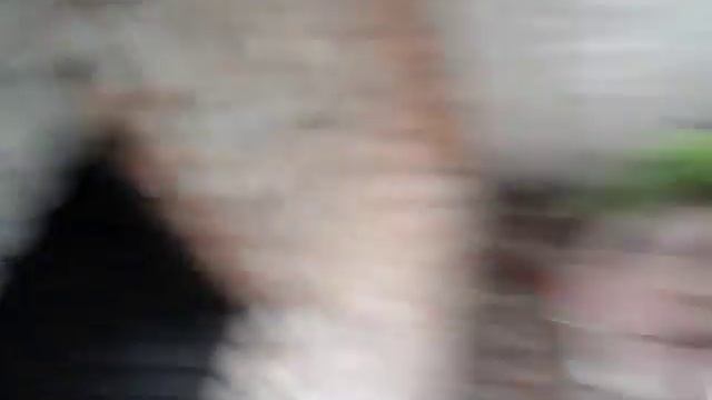 Исследуем заброшенное здание #2 смотреть онлайн