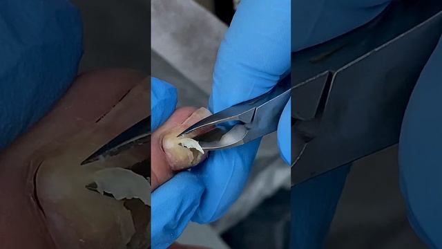 Уже посмотрели полное видео на канале? Или прислать ссылку? смотреть онлайн