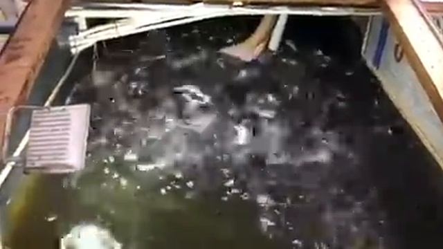 Аква?Пром® : Запорожье УЗВ смотреть онлайн