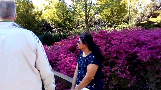 Королевской парк тюльпанов в Голландии "Keukenhof" 2018 ( 24 ) смотреть онлайн