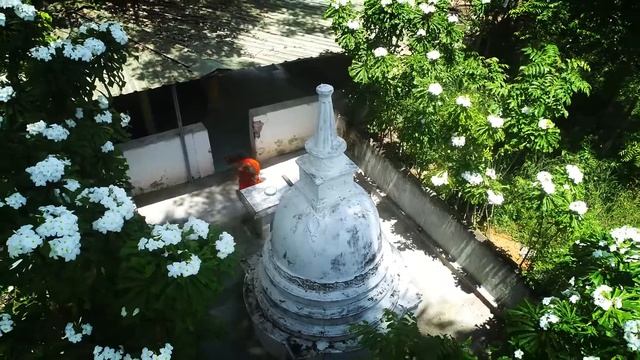 Amarapura Nikāya | අමරපුර නිකාය | Amarapura Story смотреть онлайн