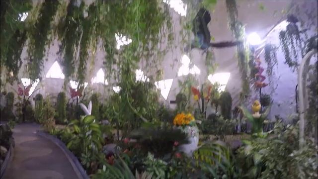 Самый большой парк бабочек!!! 2016 Dubai смотреть онлайн