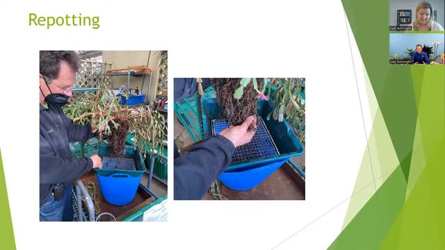 Virtual Plant Clinic: Houseplants смотреть онлайн