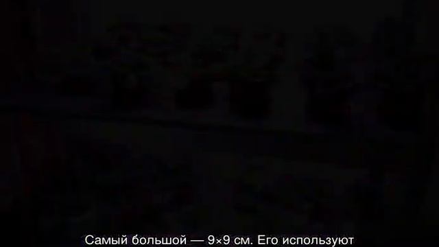 Как пересадить фиалку в другой горшок пошагово смотреть онлайн