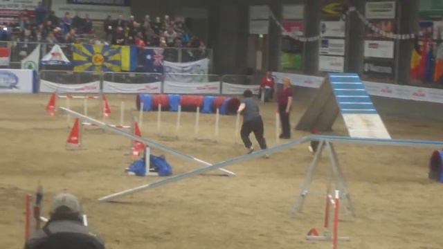 Зворыгина и Брилиант двоеборье аджилити ЧМ Голпндия смотреть онлайн