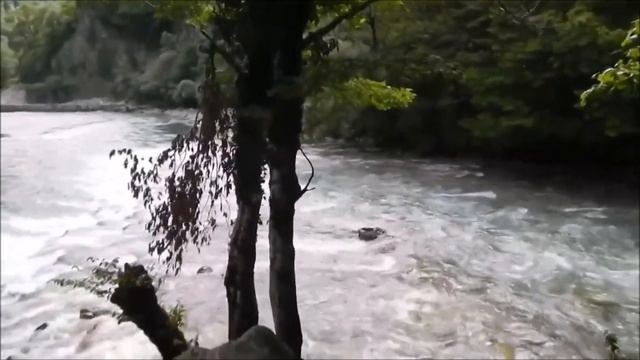 17. Абхазия Ч.3. Едем на озеро Рица! //Abkhazia. P. 3. Let's Go To Lake Ritsa!