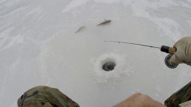 Ищем лёд. Общаемся с ПРИРОДОЙ! смотреть онлайн