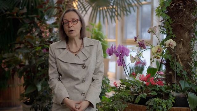 Экскурсия в музее-заповеднике «Царицыно» смотреть онлайн