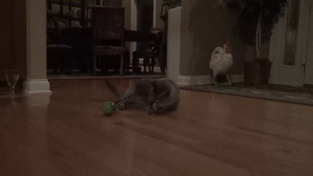 A Little Night Mischief смотреть онлайн