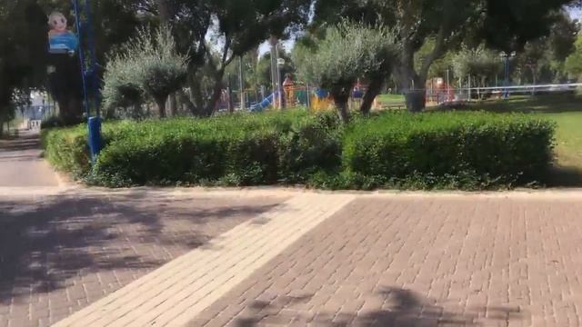 Израиль. Холон. Солнечный ноябрь.Israel. Holon. Sunny november. смотреть онлайн