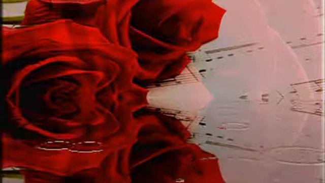 ❤️AYBƏNİZ HAŞIMOVA&ŞİRAZİ❤️Biri sənsən,biri mən смотреть онлайн