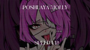 пошлая Молли — а ты разбила папину машину (speed up)