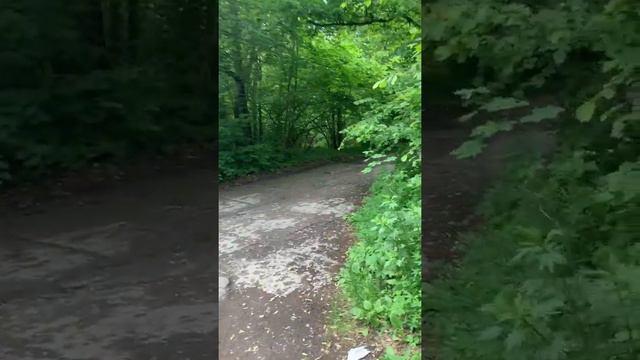 Поход в Дубровицы смотреть онлайн