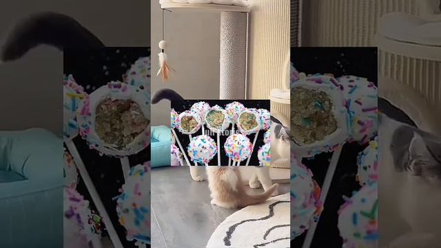 Почему некоторым людям не снятся сны? смотреть онлайн