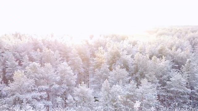 Новогодний выпуск 2021-2022. Родина русского дедушки Мороза. Великий Устюг с семьей. смотреть онлайн