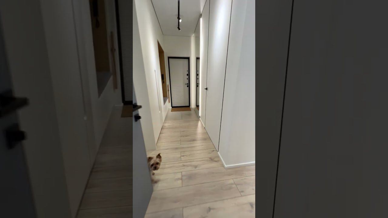 Экскурсия за одну минуту в квартире с дизайнерским ремонтом. смотреть онлайн