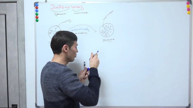 ОНТОГЕНЕЗ. ФИЛОГЕНЕЗ. ИНКИШОФИ ФАРДИ. БАРГАКХОИ ЧАНИН. КИСМИ 1 смотреть онлайн