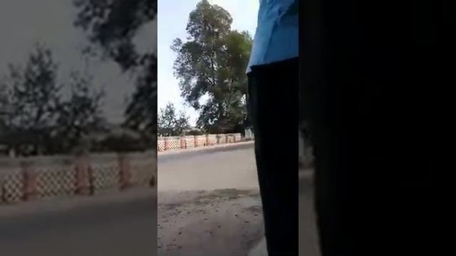 Prezdent qoruyu culari lenkaranda смотреть онлайн