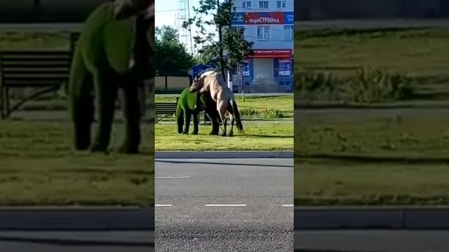 Создатели зелёных скульптур из Калужской области могут гордиться смотреть онлайн