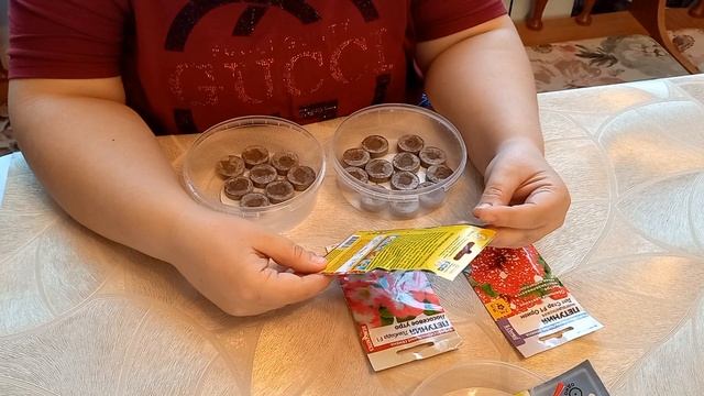 2 марта. Домашние дела. Посадила розу? Посеяла петунии ? смотреть онлайн