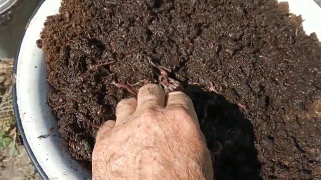 БЕЗ  СЛИЗИ В ЖАРУ