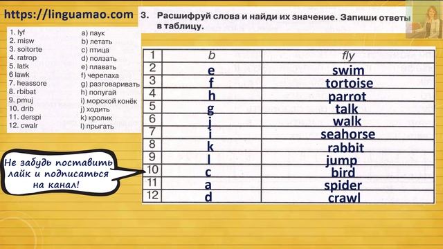 Spotlight 3 класс Сборник упражнений страница 67 номер 3 ГДЗ решебник смотреть онлайн